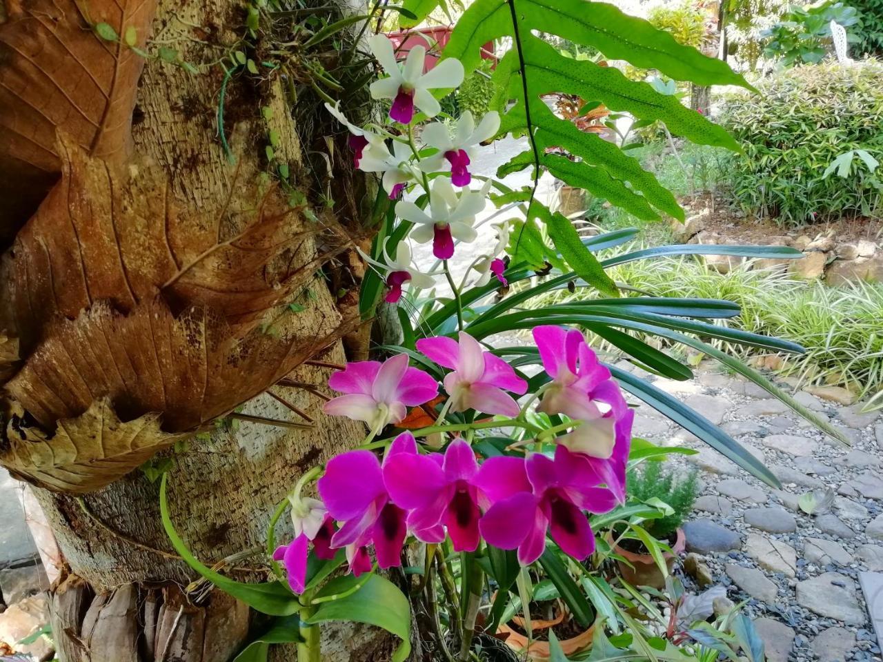 Macura Resort Κο Τσανγκ Εξωτερικό φωτογραφία